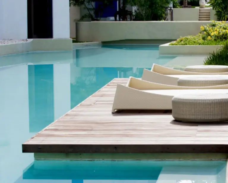 Image of a detail view of pool and loungers with plants.