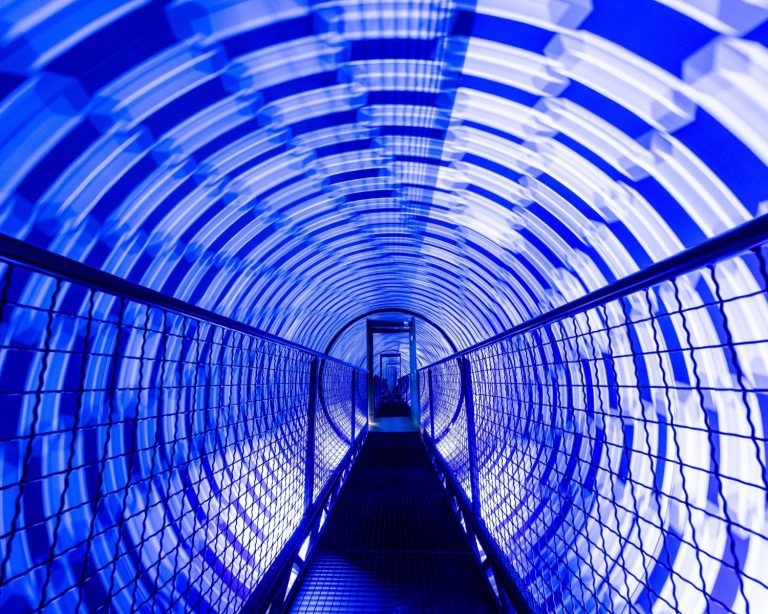 Image of circular LED lights in indigo and white.